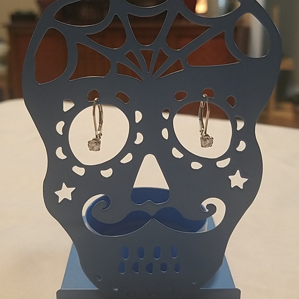 Sterling Silver Earrings